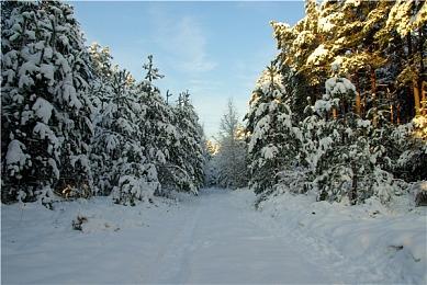 《OU》登陆steam＆Switch发售 绘本风不可思议冒险