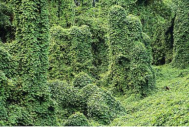 《刺客信条：英灵殿》全新免费赛季：狂猎季即将开启！